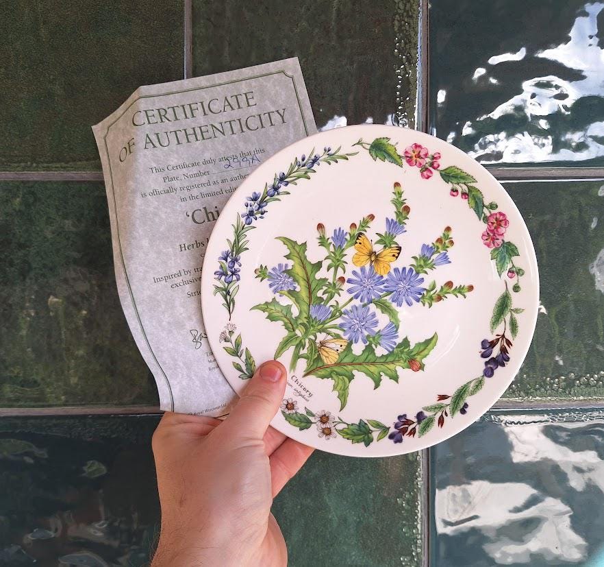 Royal Worcester Chicory Collector Plate: Botanical Butterfly Fine Bone China (Boxed w/ Certificate)