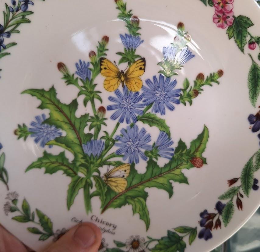 Royal Worcester Chicory Collector Plate: Botanical Butterfly Fine Bone China (Boxed w/ Certificate)