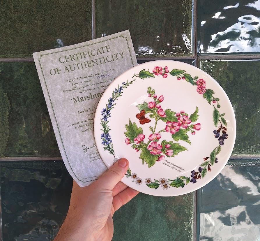 Royal Worcester Marshmallow Plate, Botanical Butterfly Fine Bone China (Boxed With Certificate)