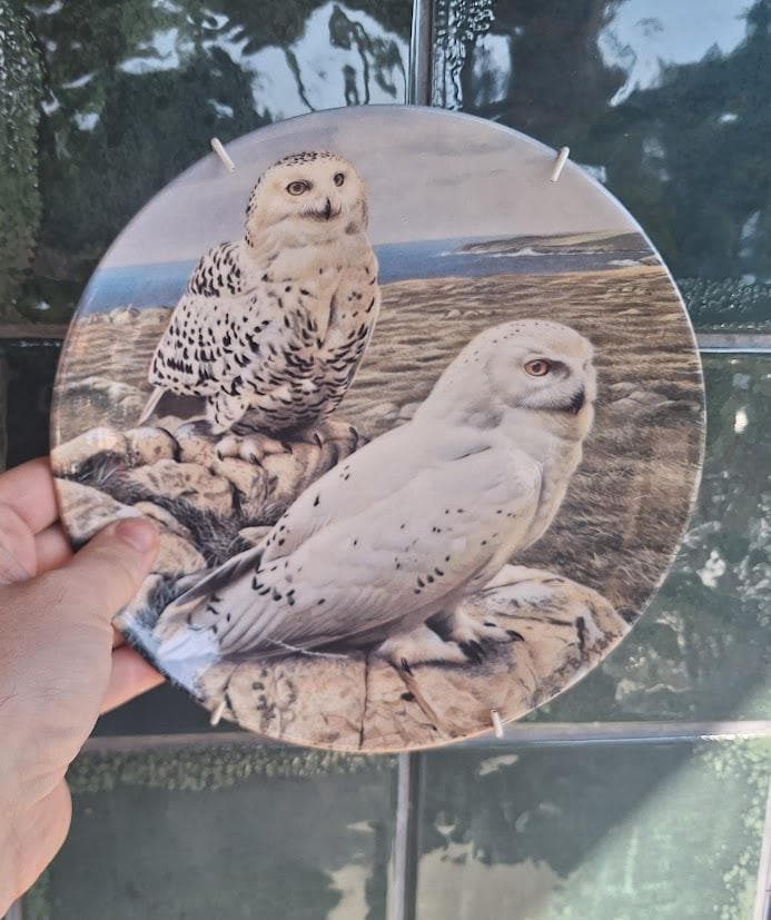 Vintage Wedgwood Snowy Owls Collector Plate 1992, Trevor Boyer Majesty of Owls, Danbury Mint Wildlife Wall Decor England