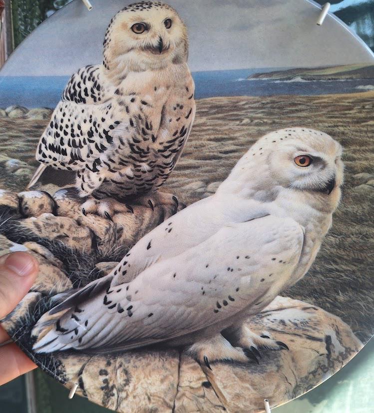 Vintage Wedgwood Snowy Owls Collector Plate 1992, Trevor Boyer Majesty of Owls, Danbury Mint Wildlife Wall Decor England