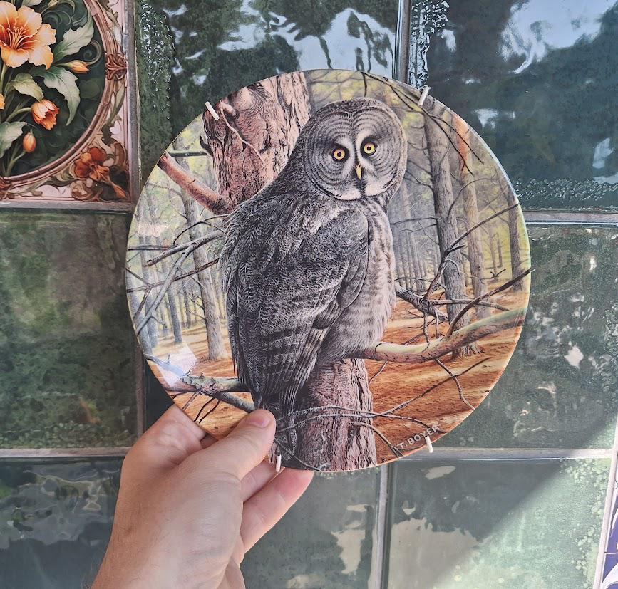 Vintage Wedgwood Great Grey Owl Collector Plate 1992, Trevor Boyer Majesty of Owls Danbury Mint Wildlife Wall Decor England