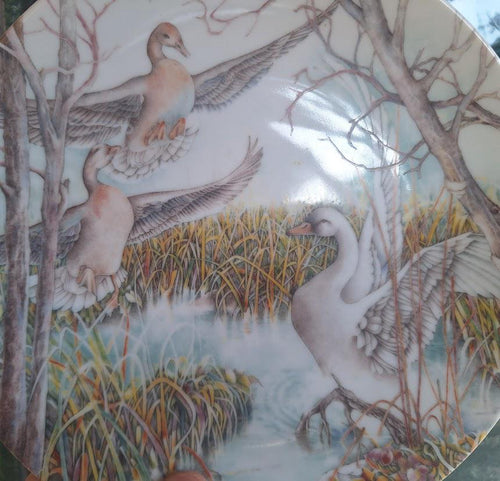 Grande København Kom Med Os Collector Plate 1986, Karen Jean Bornholt Ugly Duckling Series, Danish Porcelain with Box & Certificate