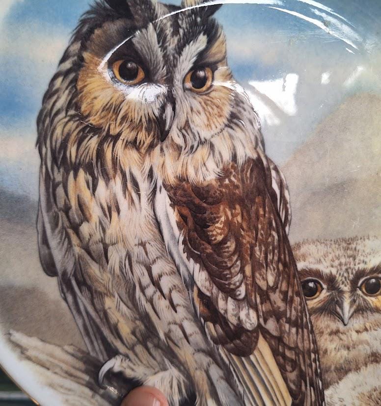 Vintage Heritage Regency Long-Eared Owl Collector Plate, English Bone China Owl and Owlet Wildlife Wall Plate, Gold Rim Bird Decor